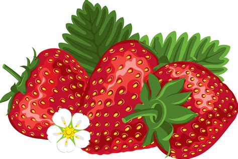 Free strawberry clipart – Clipartix