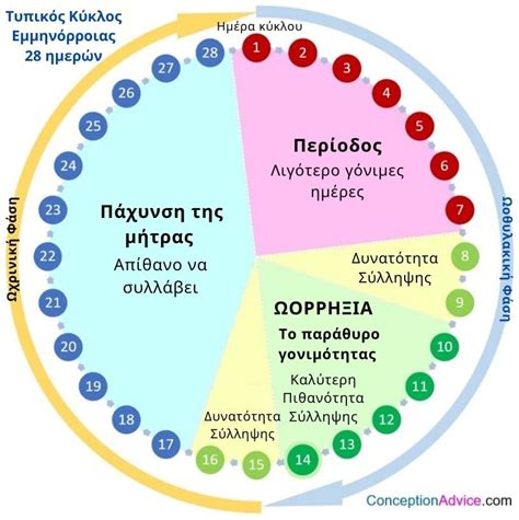 Περίοδος: Πώς να αντιμετωπίσεις τις Λιγούρες; [ΟΔΗΓΟΣ] - Diaitologos.com