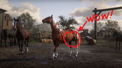 Red dead redemption 2 legendary animals - biomanet