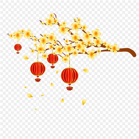 Yellow Apricot Blossom Vector Hd PNG Images, Beautiful Hoa Mai Apricot ...