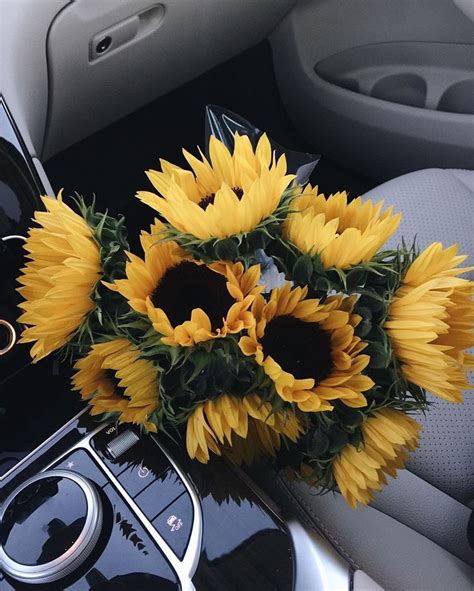 Sunflower season | Sunflower season, Plants, Flowers