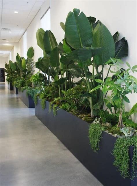 32 Office Plants You’ll Want To Adopt | Interior design plants ...