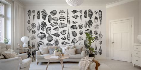 Black and White Seashell Wallpaper - Coastal Home Wall Mural