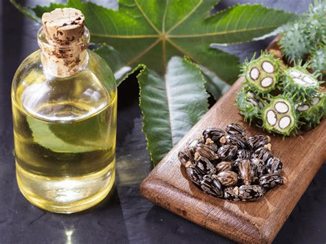 Castor Oil Benefits, Uses and Side Effects | LoveLocal