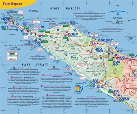 Mornington Peninsula Walks Map Guide 2nd Edition - Meridian Maps