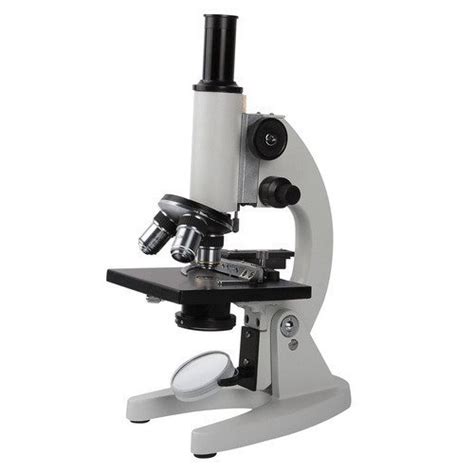 Lab Microscope, For Laboratory, Halogen at Rs 22000 in Ahmedabad | ID ...