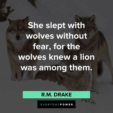 Wolf Quotes, Sayings and Proverbs Celebrating Your Instinct – Daily ...