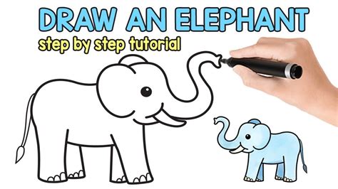 How To Draw An Elephant For Kids / Elephants are the largest living ...