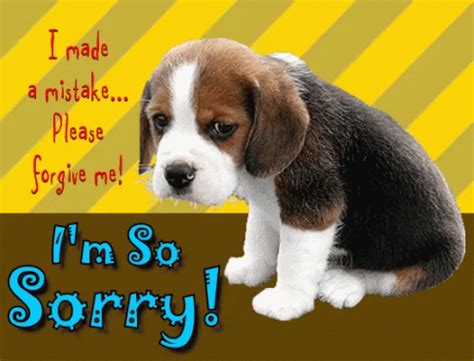 Im So Sorry Sad Puppy GIF – Im So Sorry Sorry Sad Puppy – discover and ...