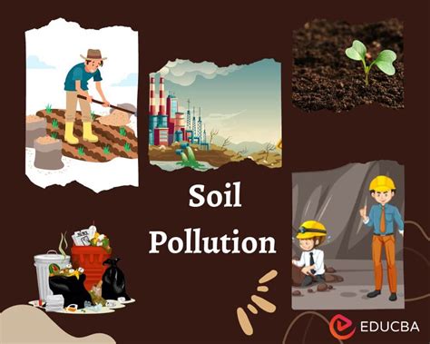 Soil Pollution Essay: Causes, Case Studies, Effects and Solutions