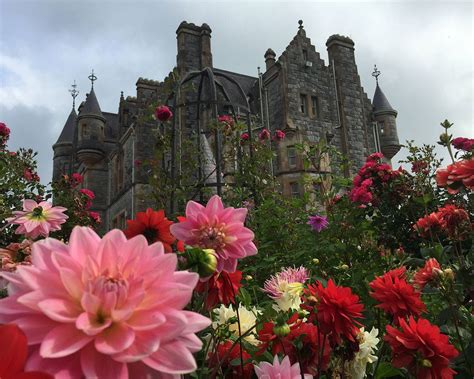 Blarney Castle & Gardens | Gardens of Ireland