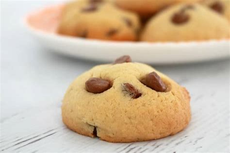 Chocolate Chip Biscuits - Thermobliss