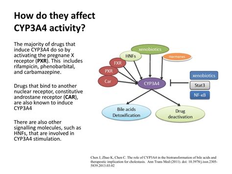 PPT - CYP3A4: Interactions/Inhibitions PowerPoint Presentation, free ...