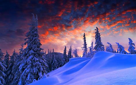 snow, Landscape, Trees Wallpapers HD / Desktop and Mobile Backgrounds