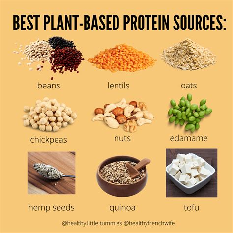 Best Plant-Based Sources Of Protein? - Kalook | Everyday Adventures ...