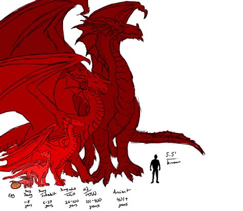 Dragon and Monster Size Comparison Charts | d20 Pub