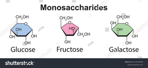 2,478 Monosaccharide Images, Stock Photos, 3D objects, & Vectors ...