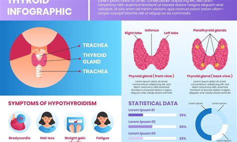 What are the types of thyroid cancer? - FITPAA