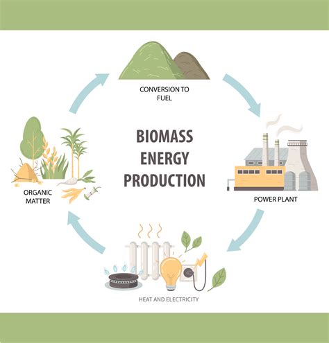 Exploring Energy: Woody Biomass | NEC