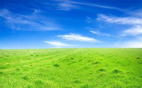 HD wallpaper: green, grass, Blue, sky | Wallpaper Flare