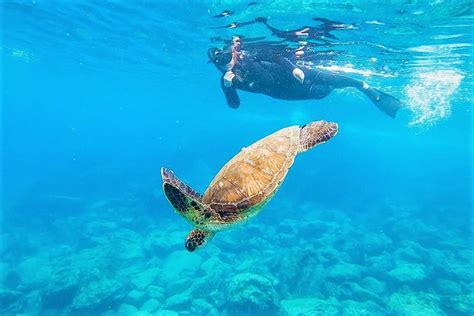 Snorkel en Galápagos, una experiencia inolvidable