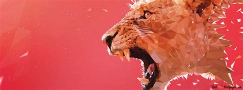 Lion Roaring 4K wallpaper download