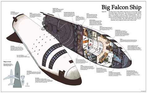 Cutaway diagram of the SpaceX BFR the 1st spaceship designed for manned ...