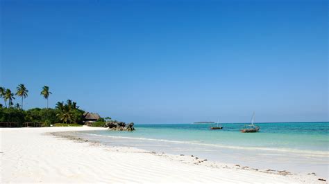 Best Time To Visit Zanzibar | Where to Stay in Zanzibar | Tanzania Odyssey