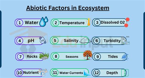 25 Examples of Abiotic Factors in Ecosystem