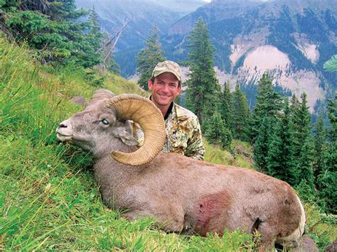 The Ultimate Hunter Pursuit: Bighorn Sheep • Mirr Ranch Group