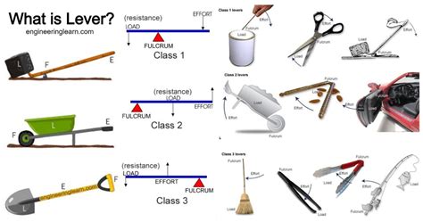 Examples Of Lever With Names