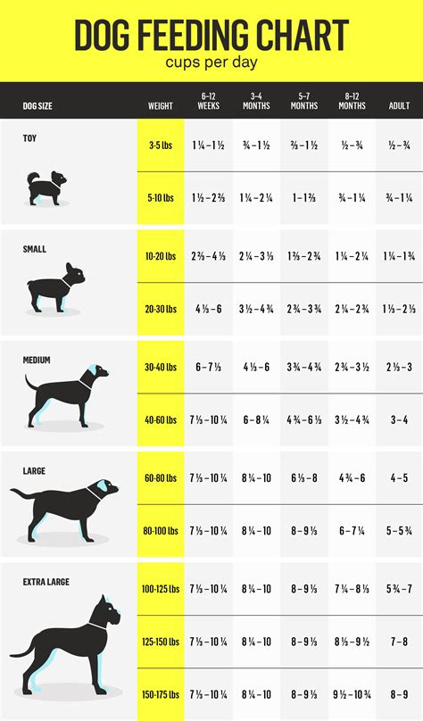 How Much Fresh Food Should A Dog Eat Per Day: A Guide