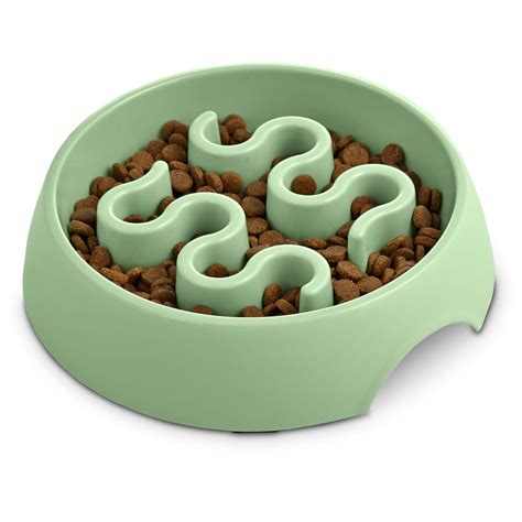 Harmony Mint Plastic Slow Feeder Dog Bowl Large >>> Want additional ...