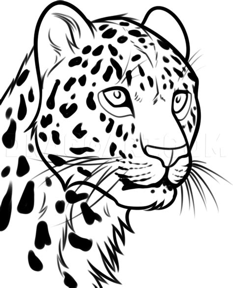 Leopard Face Outline