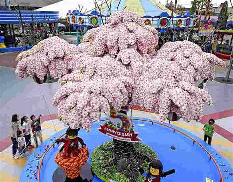 880,000-brick Lego cherry tree in full bloom - The Japan News