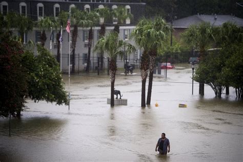 What effect did climate change have on the Louisiana floods ...