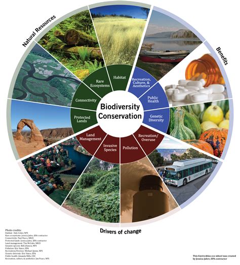 EnviroAtlas Benefit Category: Biodiversity Conservation | EnviroAtlas ...