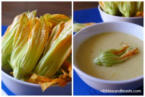 Cream of Squash Blossom Soup - Nibbles and Feasts