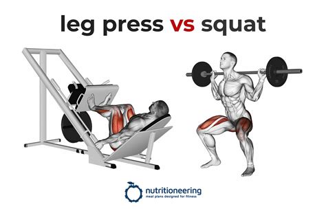 Leg Press vs Squat Mechanics, Muscle Activation, Calories Burned & More