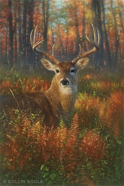 Deer Painting Deer Art Print Autumn Deer Whitetail Buck - Etsy Canada