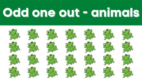 Odd one out - animals | Puzzles for kids - YouTube