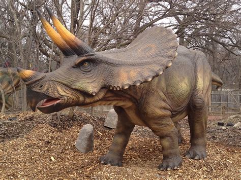 Dinosaur - Triceratops Info - Photo 2