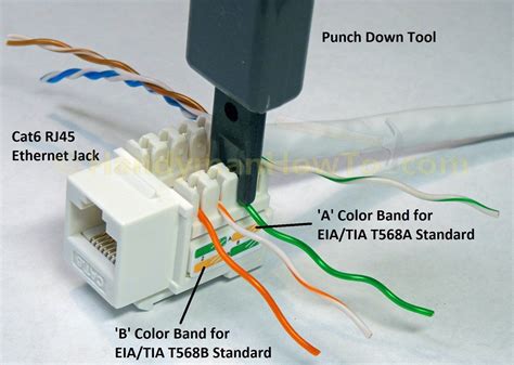 Cat5 Female Connector Wiring Diagram