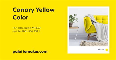 Canary Yellow Color - HEX #FFE601 Meaning and Live Previews - PaletteMaker