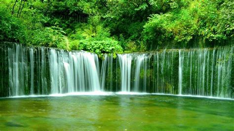 Green Nature Wallpapers - Top Những Hình Ảnh Đẹp