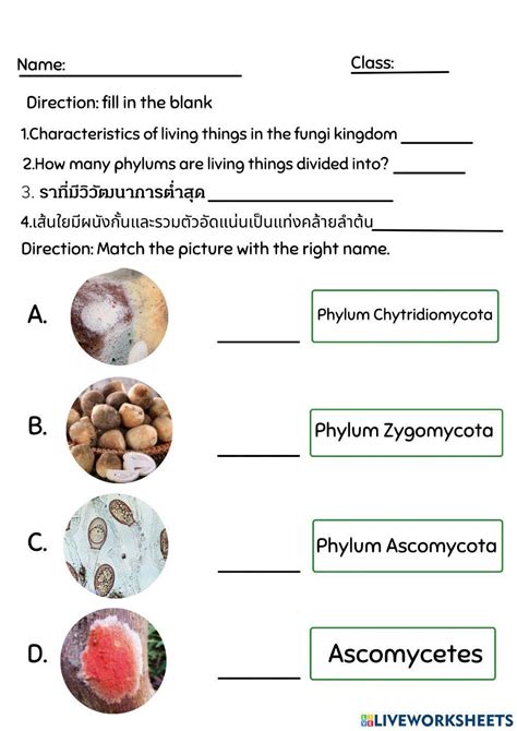 Kingdom Fungi 1838148 | tuktikk | LiveWorksheets