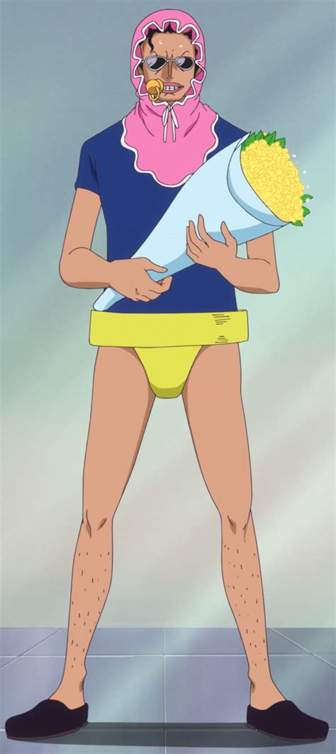 Image - Senor Pink First Baby Outfit.png | One Piece Wiki | FANDOM ...