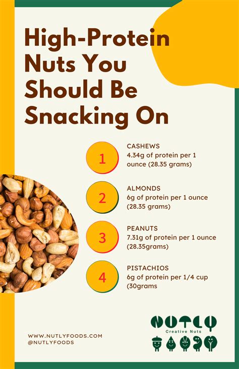 4 High-Protein Nuts You Should Be Snacking On - Creative Nuts