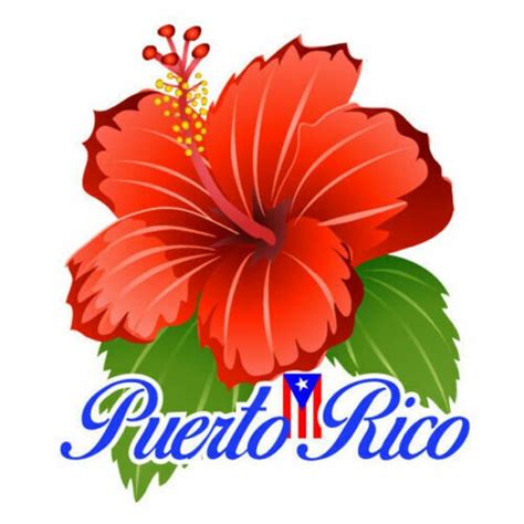 PUERTO RICO FLAG on Fire Sticker Decal Bandera Boricua - Etsy