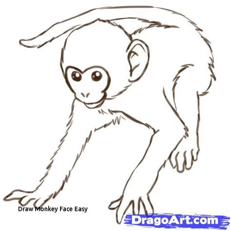 Easy Monkey Drawing Step By Step at PaintingValley.com | Explore ...